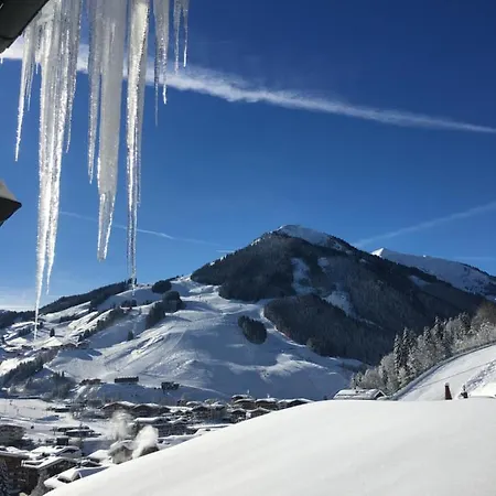 Haus Sonnenschein 아파트 잘바흐 힌터글렘